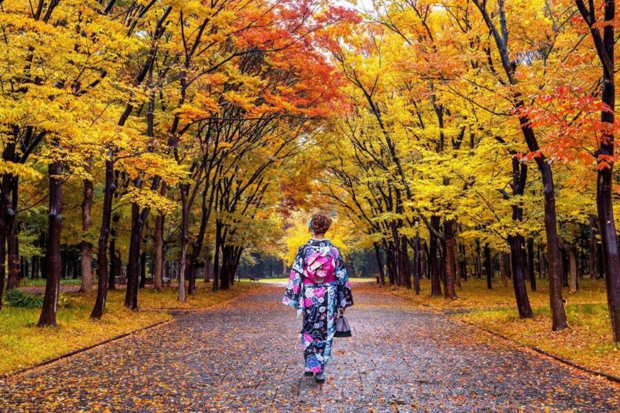 Előre a jövőbe – itt vannak a japán okosvárosok 3. rész